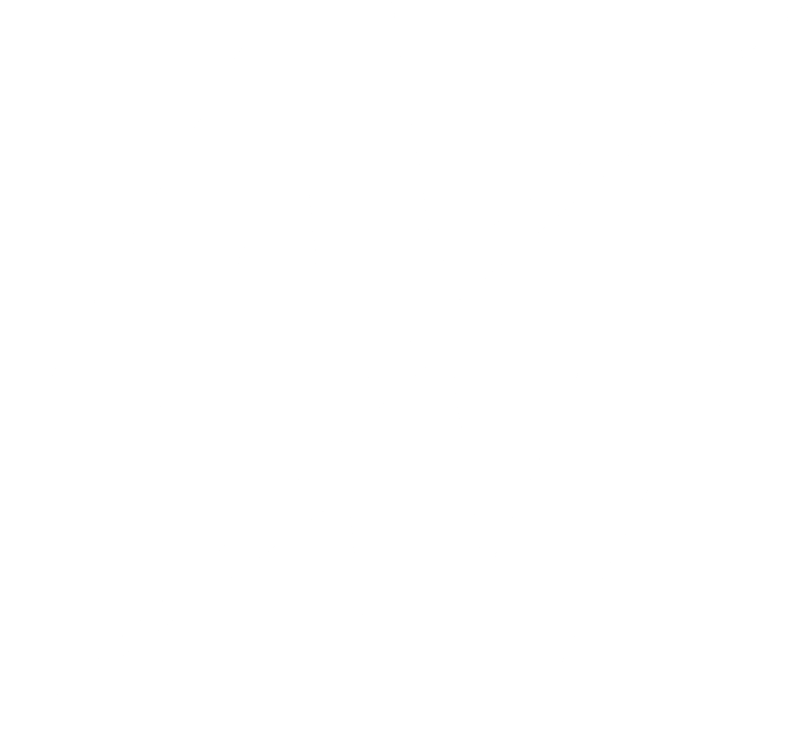 Logo Auravizion